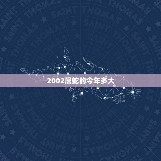 2002属蛇的今年多大，2002年出生的属蛇