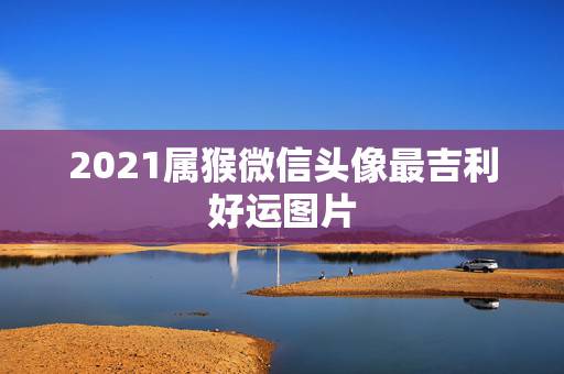 2021属猴微信头像最吉利好运图片，微信头像用什么最好最吉利