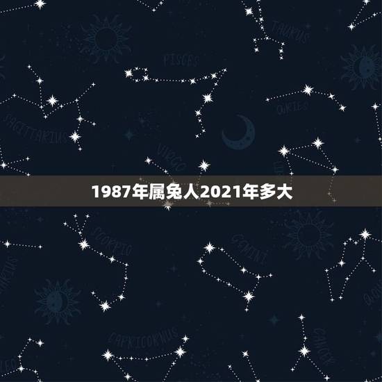 1987年属兔人2021年多大,2021年兔子多大 1987年属兔人2021年多大,2021年兔子多大