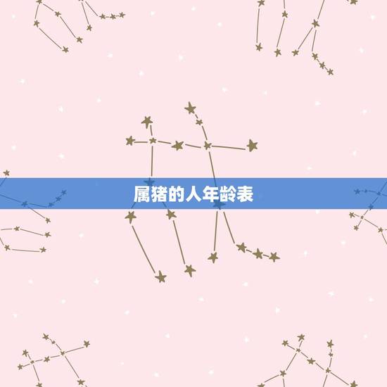属猪的人年龄表,属兔的年龄表 属猪的人年龄表,属兔的年龄表