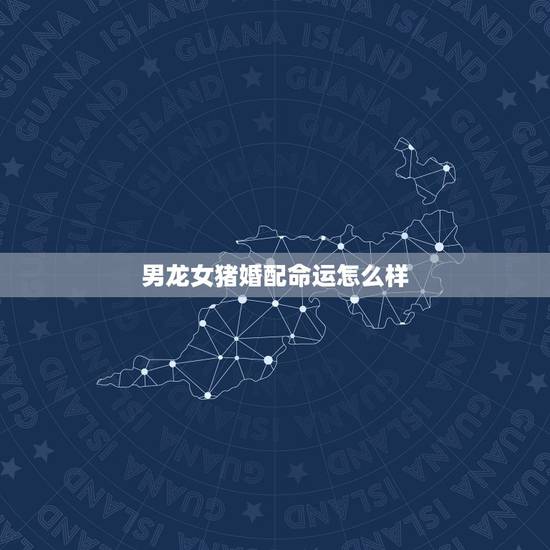 男龙女猪婚配命运怎么样,属相婚配:男属龙和女属猪相配吗 男龙女猪婚配命运怎么样,属相婚配:男属龙和女属猪相配吗