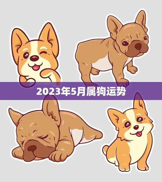 2023年5月属狗运势(狗年大展宏图财运亨通) 2023年5月属狗运势(狗年大展宏图财运亨通)