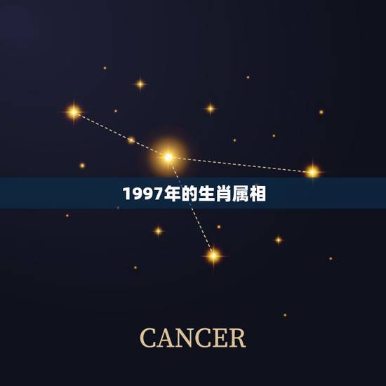 1997年的生肖属相，1997年属什么生肖？