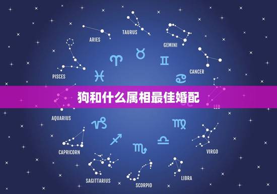 狗和什么属相最佳婚配，属狗的和什么属相最配 属狗的属相婚配表