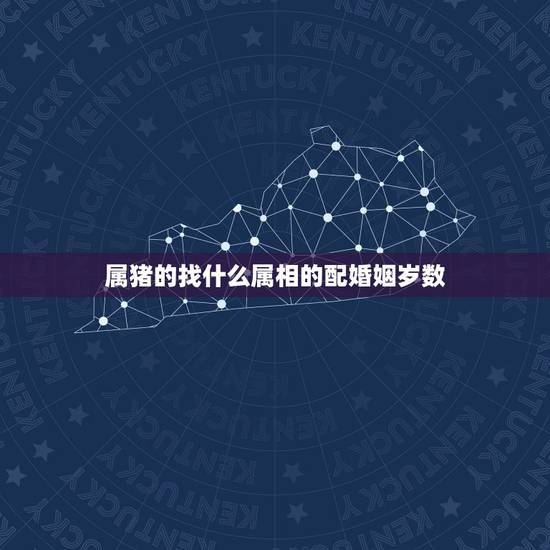 属猪的找什么属相的配婚姻岁数，属猪的婚姻和哪个属相和