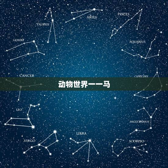 动物世界一一马,马和马怎么配对 动物世界一一马,马和马怎么配对