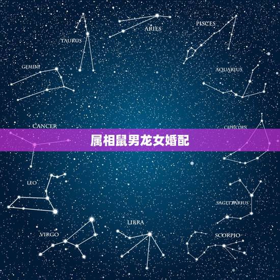属相鼠男龙女婚配,属相婚配:男属龙和女属鼠相配吗 属相鼠男龙女婚配,属相婚配:男属龙和女属鼠相配吗