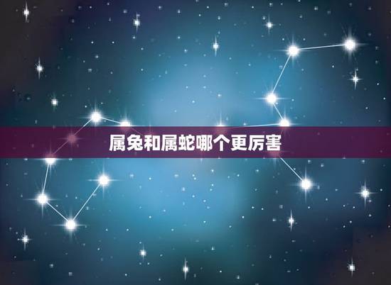 属兔和属蛇哪个更厉害,男兔女蛇叫蛇盘兔吗 属兔和属蛇哪个更厉害,男兔女蛇叫蛇盘兔吗