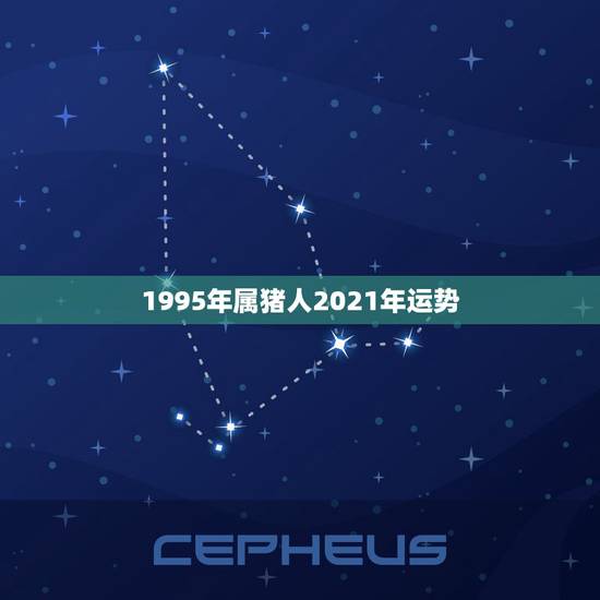 1995年属猪人2021年运势,95年生肖猪2021年运势 1995年属猪人2021年运势,95年生肖猪2021年运势