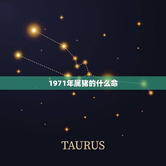 1971年属猪的什么命，1971年的是什么命