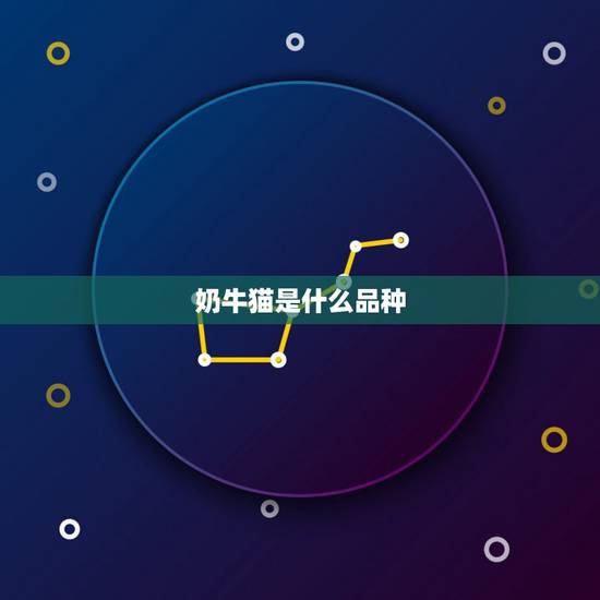 奶牛猫是什么品种，我想知道猫按颜色分类，分为什么乌云盖雪，乌云踏雪，还