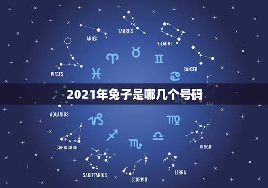 2021年兔子是哪几个号码，属兔子的2021年今年多大