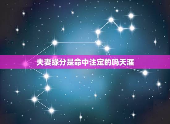 夫妻缘分是命中注定的吗天涯，缘分是什么，感情和姻缘是命中注定的吗