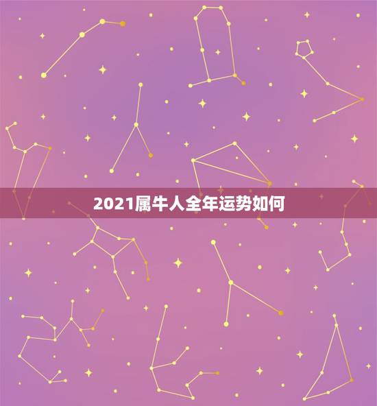 2021属牛人全年运势如何，属牛女2021年运势如何