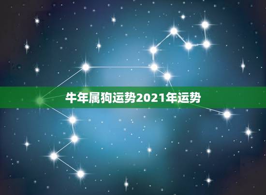 牛年属狗运势2021年运势，属狗2021年运势及运程怎么样？