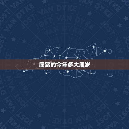 属猪的今年多大周岁，属猪的今年60几岁了
