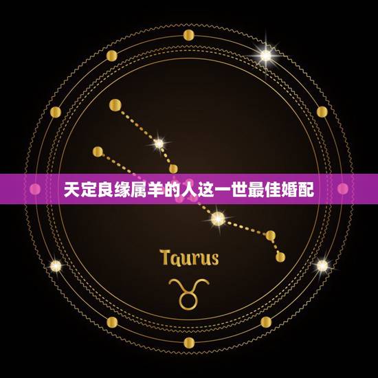 天定良缘属羊的人这一世最佳婚配，1991年属羊最佳婚配