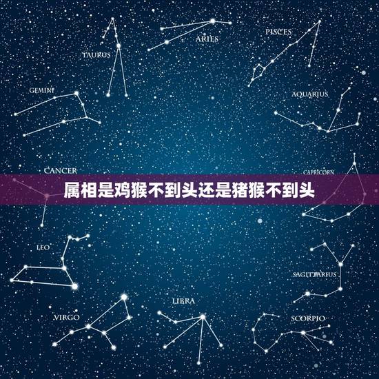 属相是鸡猴不到头还是猪猴不到头，猪猴真的不到头吗？还是鸡猴不到头？