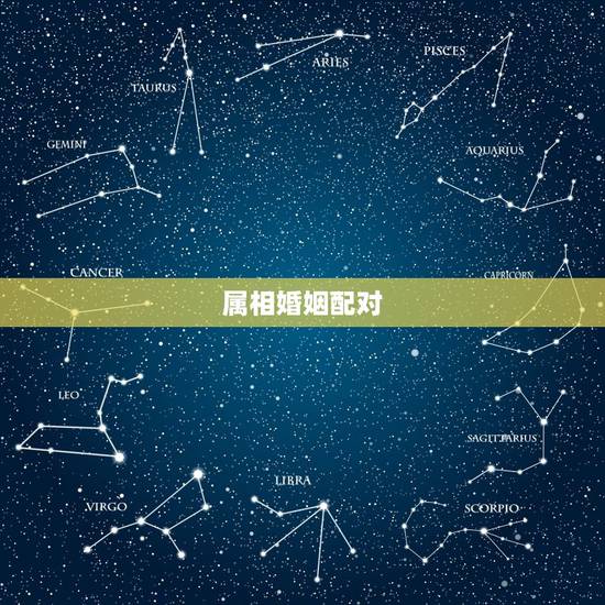 属相婚姻配对,关于属相的婚姻配对 属相婚姻配对,关于属相的婚姻配对