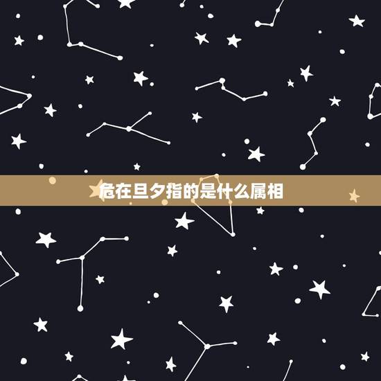 危在旦夕指的是什么属相,十二生肖中危在旦夕昰什么肖 危在旦夕指的是什么属相,十二生肖中危在旦夕昰什么肖