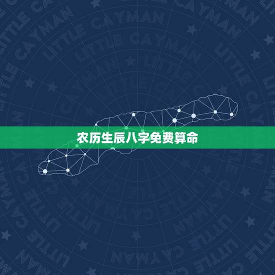 农历生辰八字免费算命，农历生辰八字算命–急