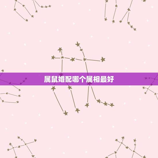 属鼠婚配哪个属相最好,属鼠的和什么属相最配 属鼠的属相婚配表 属鼠婚配哪个属相最好,属鼠的和什么属相最配 属鼠的属相婚配表