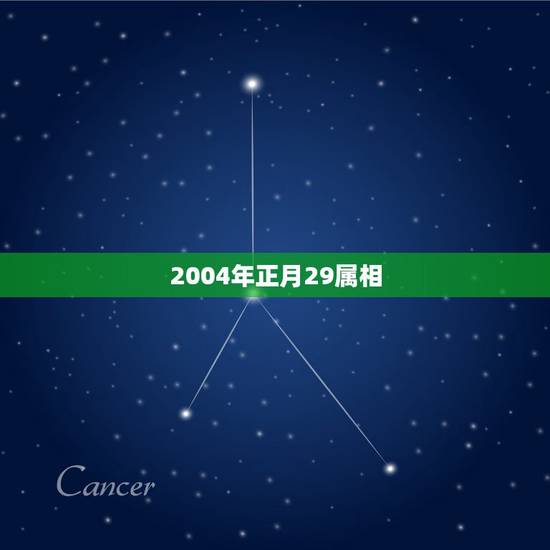 2004年正月29属相,农历正月29属什么星座 2004年正月29属相,农历正月29属什么星座