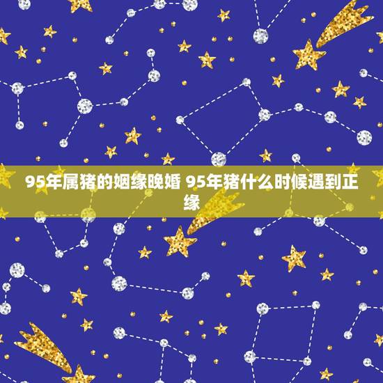 95年属猪的姻缘晚婚 95年猪什么时候遇到正缘 95年属猪的姻缘晚婚 95年猪什么时候遇到正缘