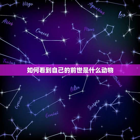 如何看到自己的前世是什么动物，怎样知道自己的前世！我总感觉自己的前世是