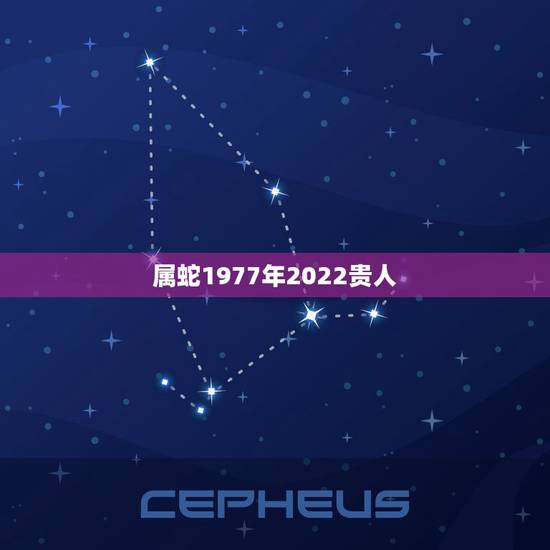 属蛇1977年2022贵人 77年属蛇男2022事业怎么样 属蛇1977年2022贵人 77年属蛇男2022事业怎么样