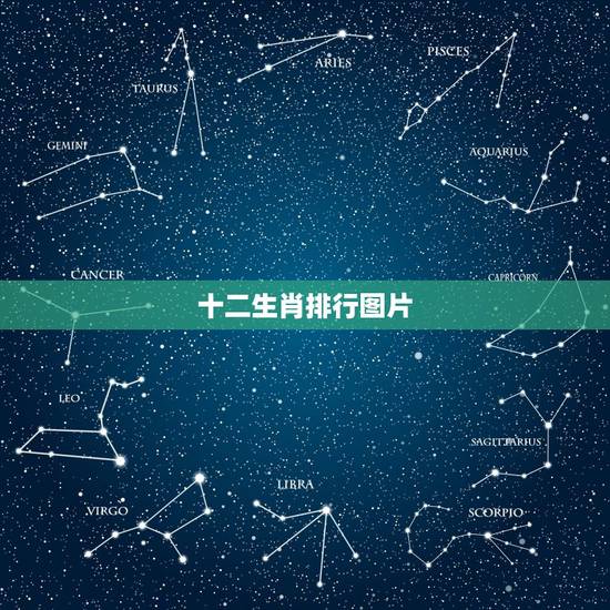 十二生肖排行图片,十二生肖大小排行 十二生肖排行图片,十二生肖大小排行