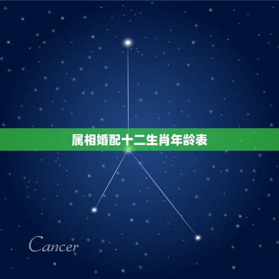 属相婚配十二生肖年龄表，十二生肖婚配:属相合婚配对表
