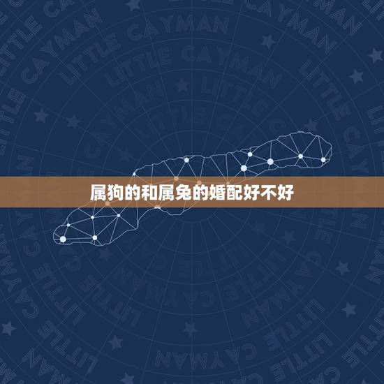 属狗的和属兔的婚配好不好,关于属相婚配属鸡与属猴好不好配 属狗的和属兔的婚配好不好,关于属相婚配属鸡与属猴好不好配