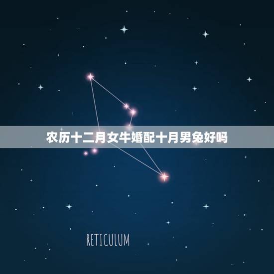 农历十二月女牛婚配十月男兔好吗,属相婚配:男属兔和女属牛相配吗 农历十二月女牛婚配十月男兔好吗,属相婚配:男属兔和女属牛相配吗