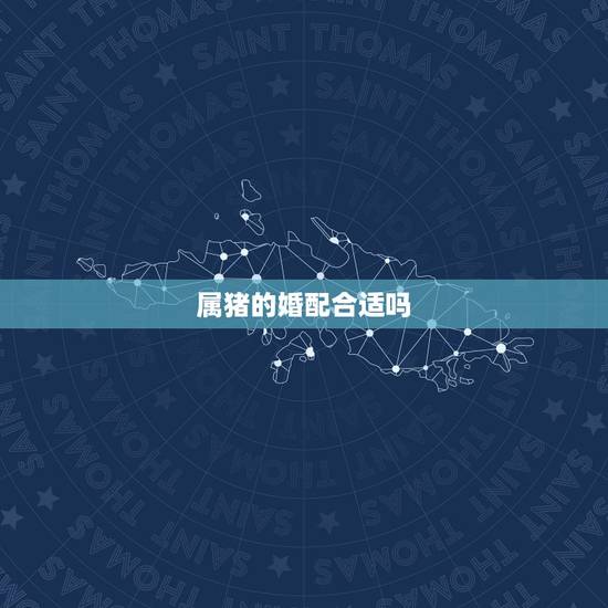 属猪的婚配合适吗，属马的和属猪的配吗