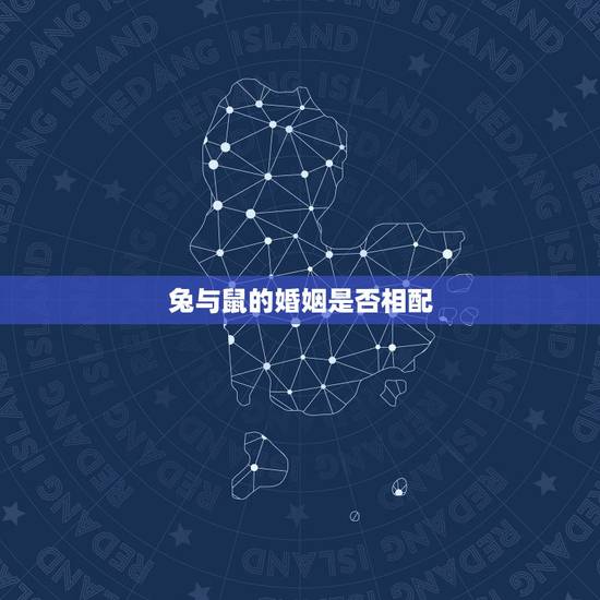 兔与鼠的婚姻是否相配,属兔和属鼠的合得来吗 兔与鼠的婚姻是否相配,属兔和属鼠的合得来吗