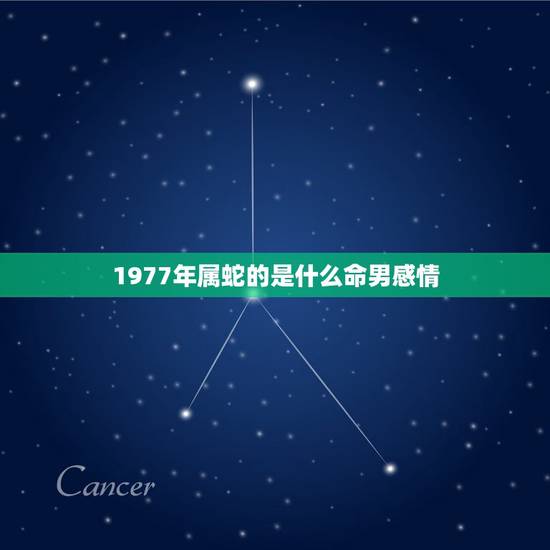 1977年属蛇的是什么命男感情,1977年。属蛇的,是什么命 1977年属蛇的是什么命男感情,1977年。属蛇的,是什么命
