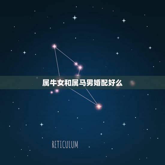 属牛女和属马男婚配好么,男属马与女属牛的相配会好吗? 属牛女和属马男婚配好么,男属马与女属牛的相配会好吗?