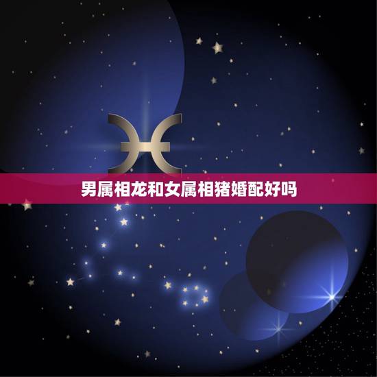男属相龙和女属相猪婚配好吗，属猪和属龙的相配吗