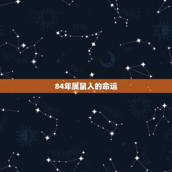 84年属鼠人的命运，1984属鼠人男的命运