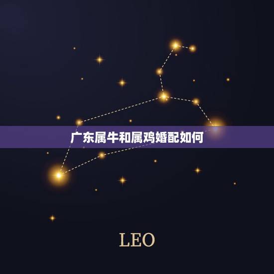 广东属牛和属鸡婚配如何，属牛和属鸡的相配吗 属牛和属鸡的婚姻合不合