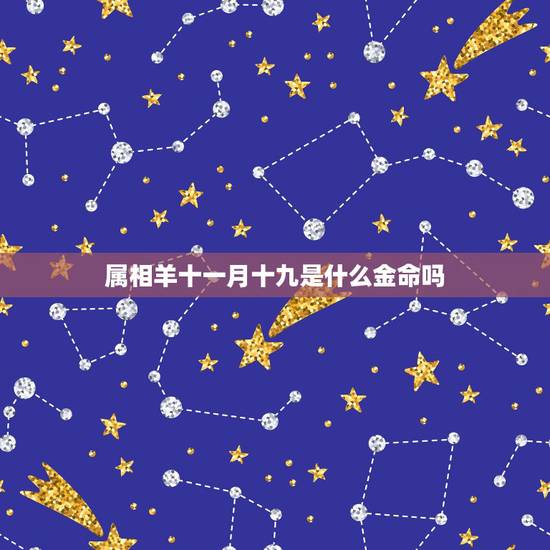 属相羊十一月十九是什么金命吗，1979年阳历11月19日的人是什么命
