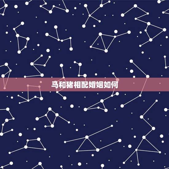 马和猪相配婚姻如何，请问男猪配女马好吗指婚姻