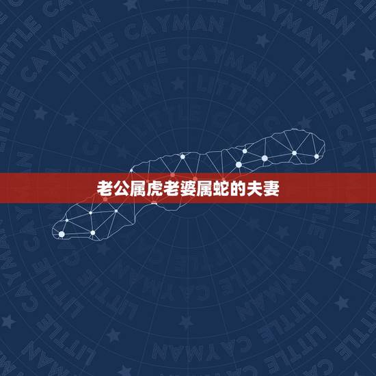 老公属虎老婆属蛇的夫妻，老公属虎老婆属蛇可以结婚吗？