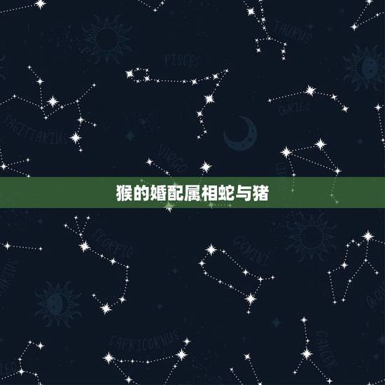 猴的婚配属相蛇与猪，蛇和猴相配婚姻相配吗