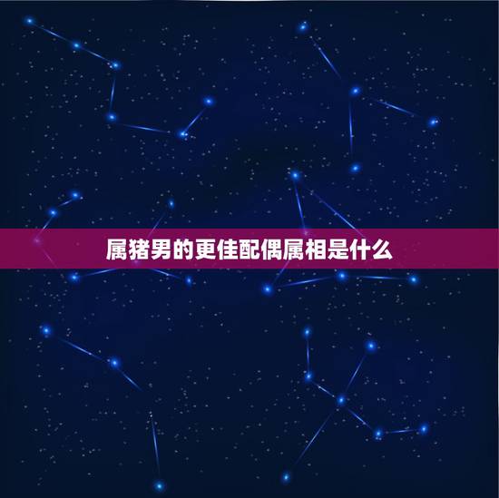 属猪男的更佳配偶属相是什么，属鸡的更佳配偶属相