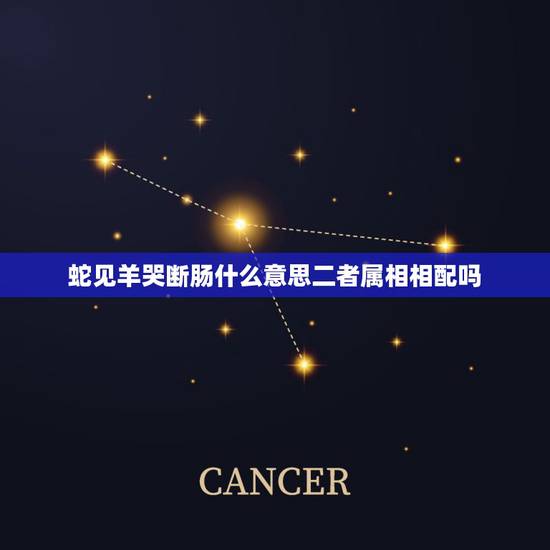 蛇见羊哭断肠什么意思二者属相相配吗,属蛇和属羊的配吗 蛇见羊哭断肠什么意思二者属相相配吗,属蛇和属羊的配吗