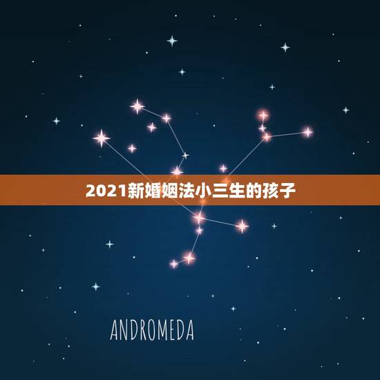 2021新婚姻法小三生的孩子,小三生的孩子,如果原配不离婚的话孩子能上 2021新婚姻法小三生的孩子,小三生的孩子,如果原配不离婚的话孩子能上