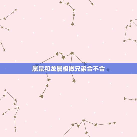 属鼠和龙属相做兄弟合不合,属鼠的能不能和属龙的在一起合伙做生意 属鼠和龙属相做兄弟合不合,属鼠的能不能和属龙的在一起合伙做生意