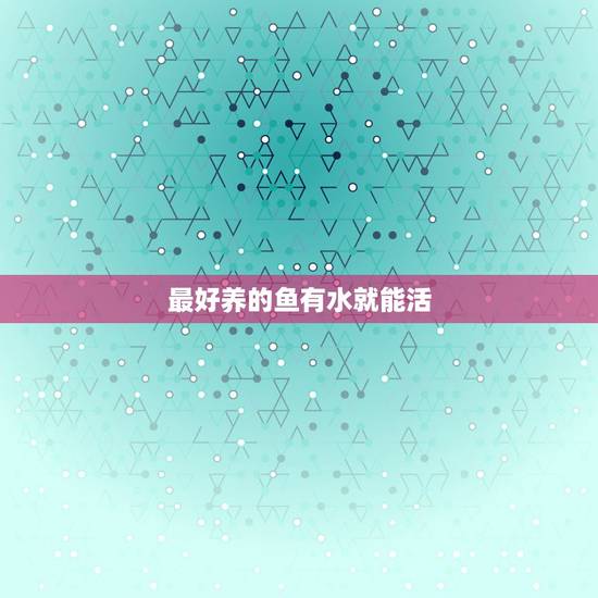 最好养的鱼有水就能活，最好养的鱼是什么？